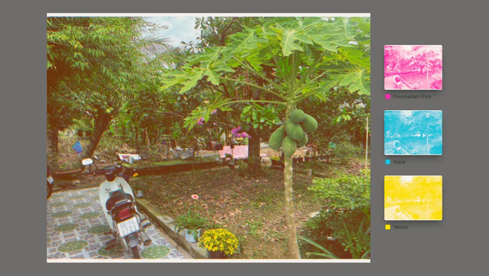 A photograph separated into risograph ink plates, the composite print beside the individual pink and blue plates it was built from